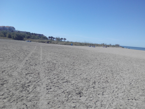 playa de denia